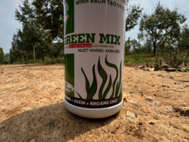 Alternative view of GREENMIX - TẢO XOẮN SPIRULINA GIÚP BỘ LÁ XANH MƯỚT BỀN VỮNG