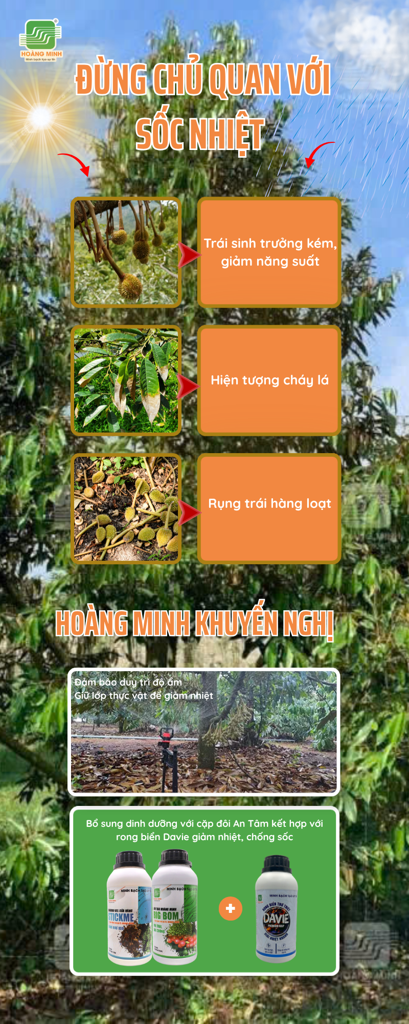 Davie và cặp đôi an tâm 