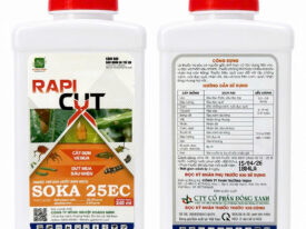 Rapid Cut quản lý sâu vẽ bùa