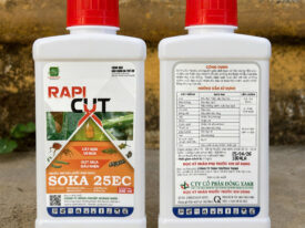 Rapid cut