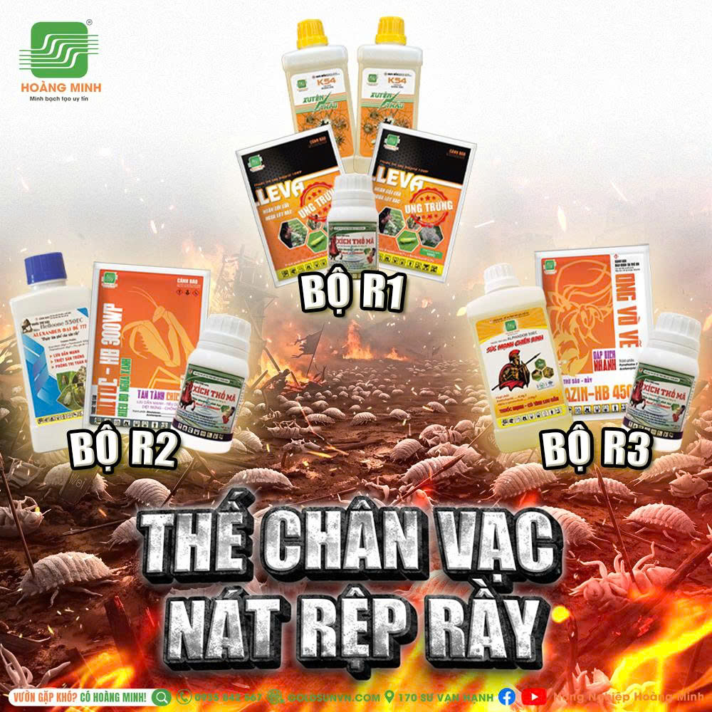 Quản lý sâu hại trên cà phê