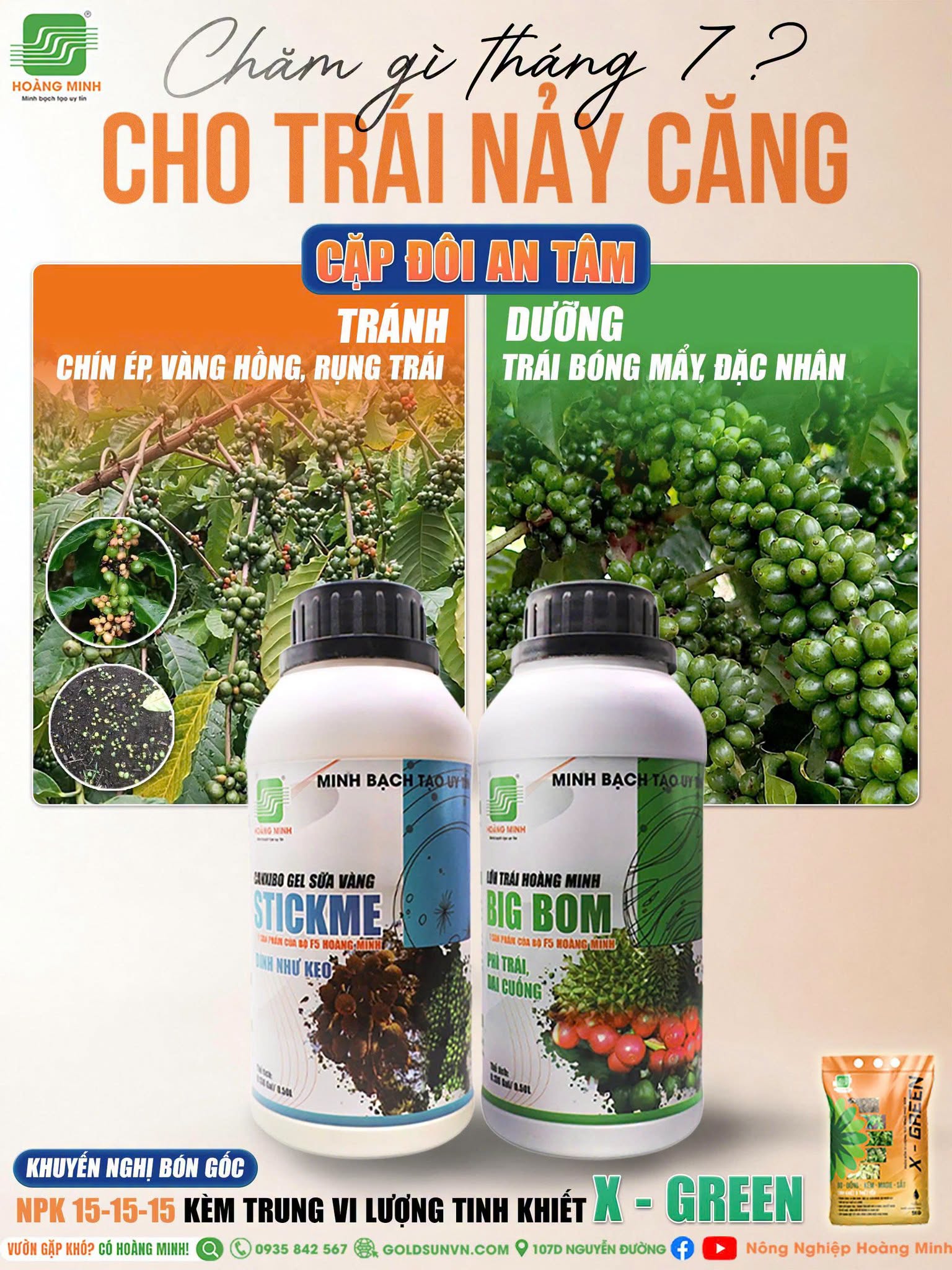 Cặp đôi An Tâm 