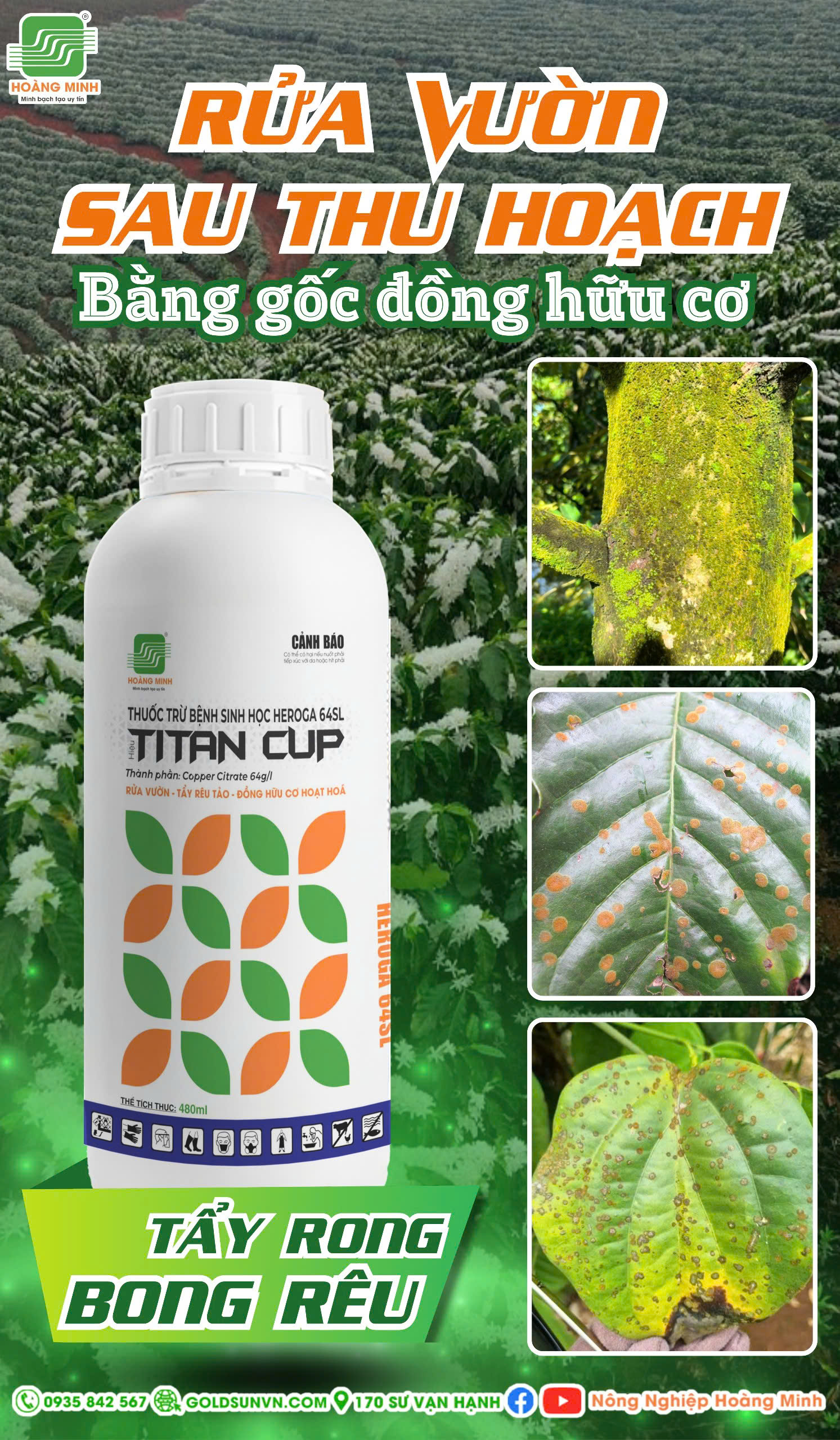 Titan Cup quản lý đốm rong