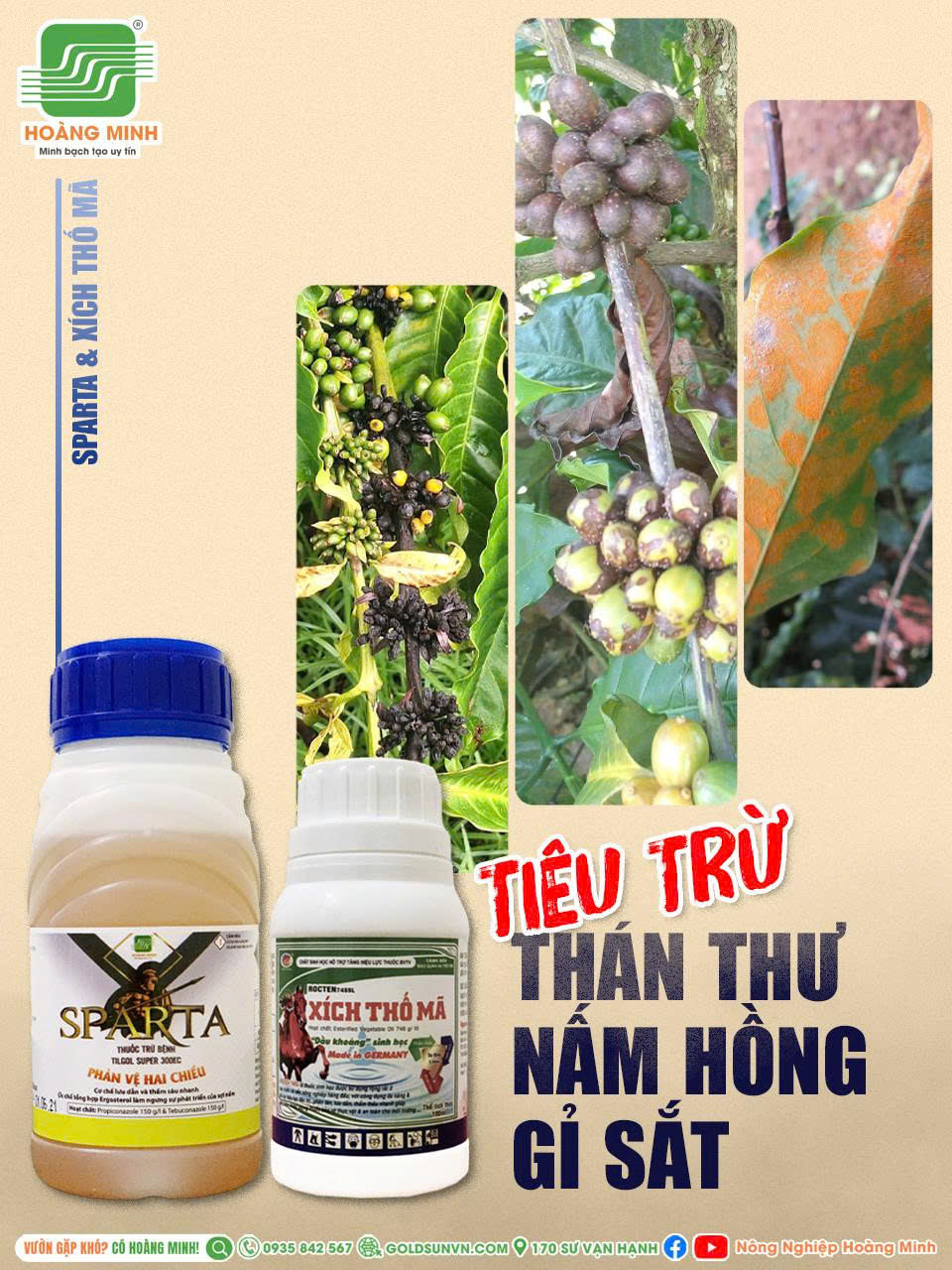 Quản lý nấm bệnh mùa mưa cà phê