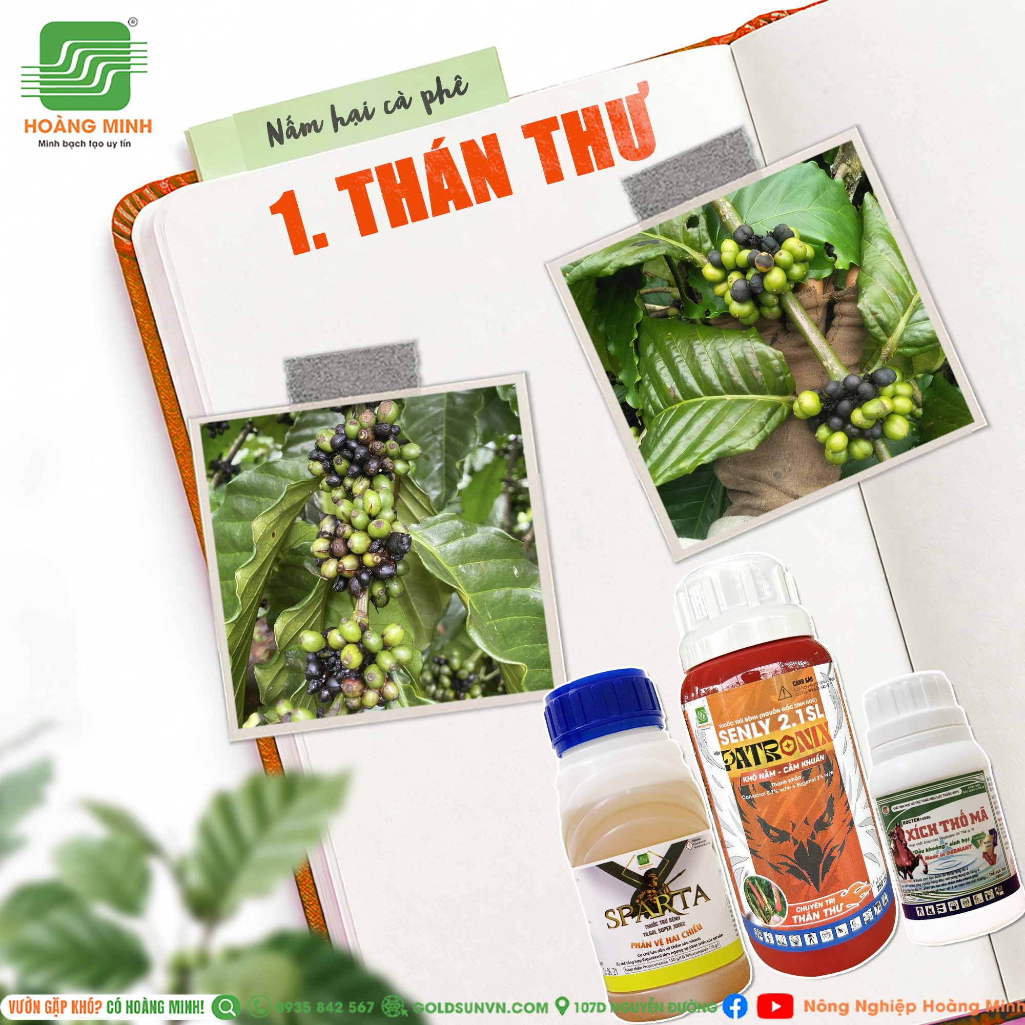 Quản lý thán thư
